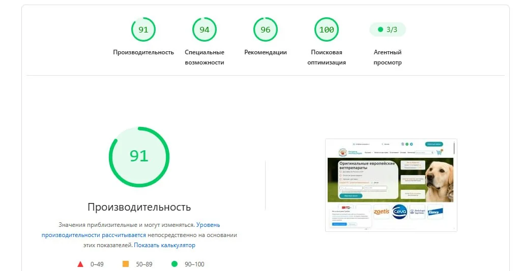 Google PageSpeed для сайта vet-preparaty.ru: performance 91, accessibility 94, recommendations 96, SEO 100